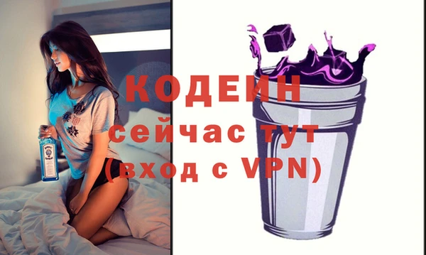 хмурый Арсеньев