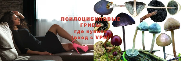 хмурый Арсеньев