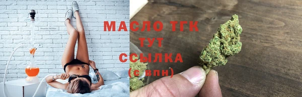 хмурый Арсеньев