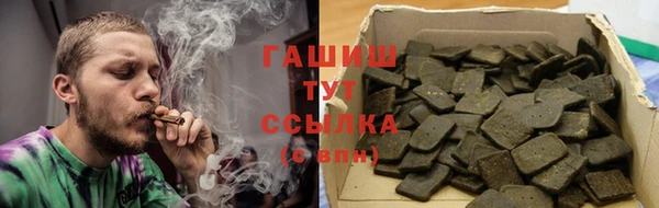 хмурый Арсеньев