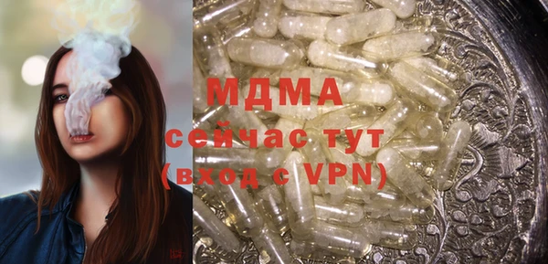 хмурый Арсеньев