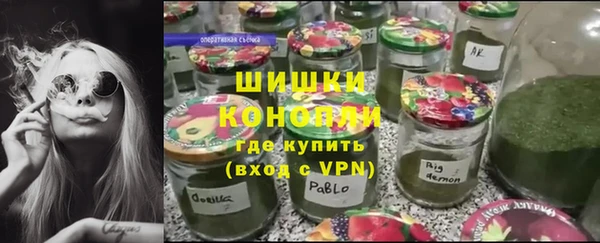 хмурый Арсеньев